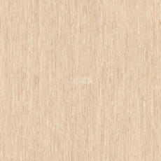 Tarkett iq Optima Light Gold Beige 0247 фото 1 | FLOORDEALER